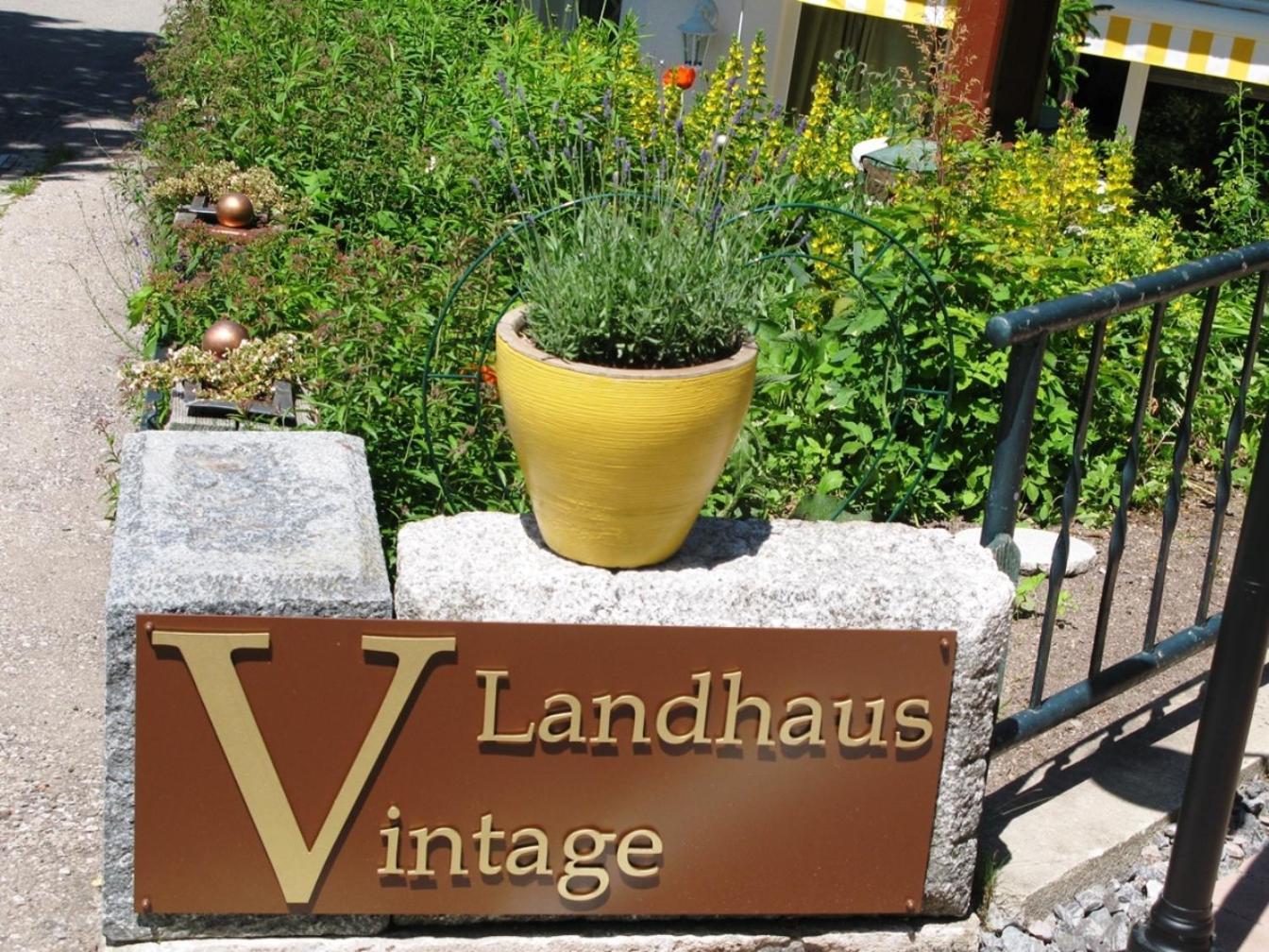 Landhaus-Vintage Fe-Wo-Apartment 5 Шлухзе Екстер'єр фото